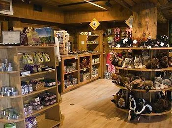 Hotel Old Faithful Inn 2*